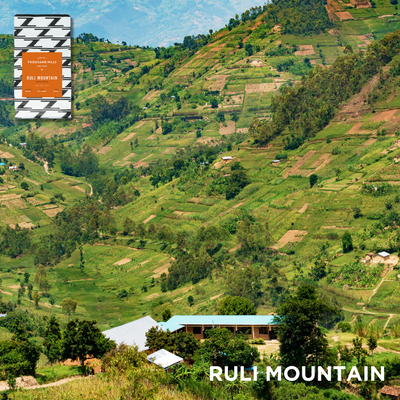 Holiday Adventure Bundle