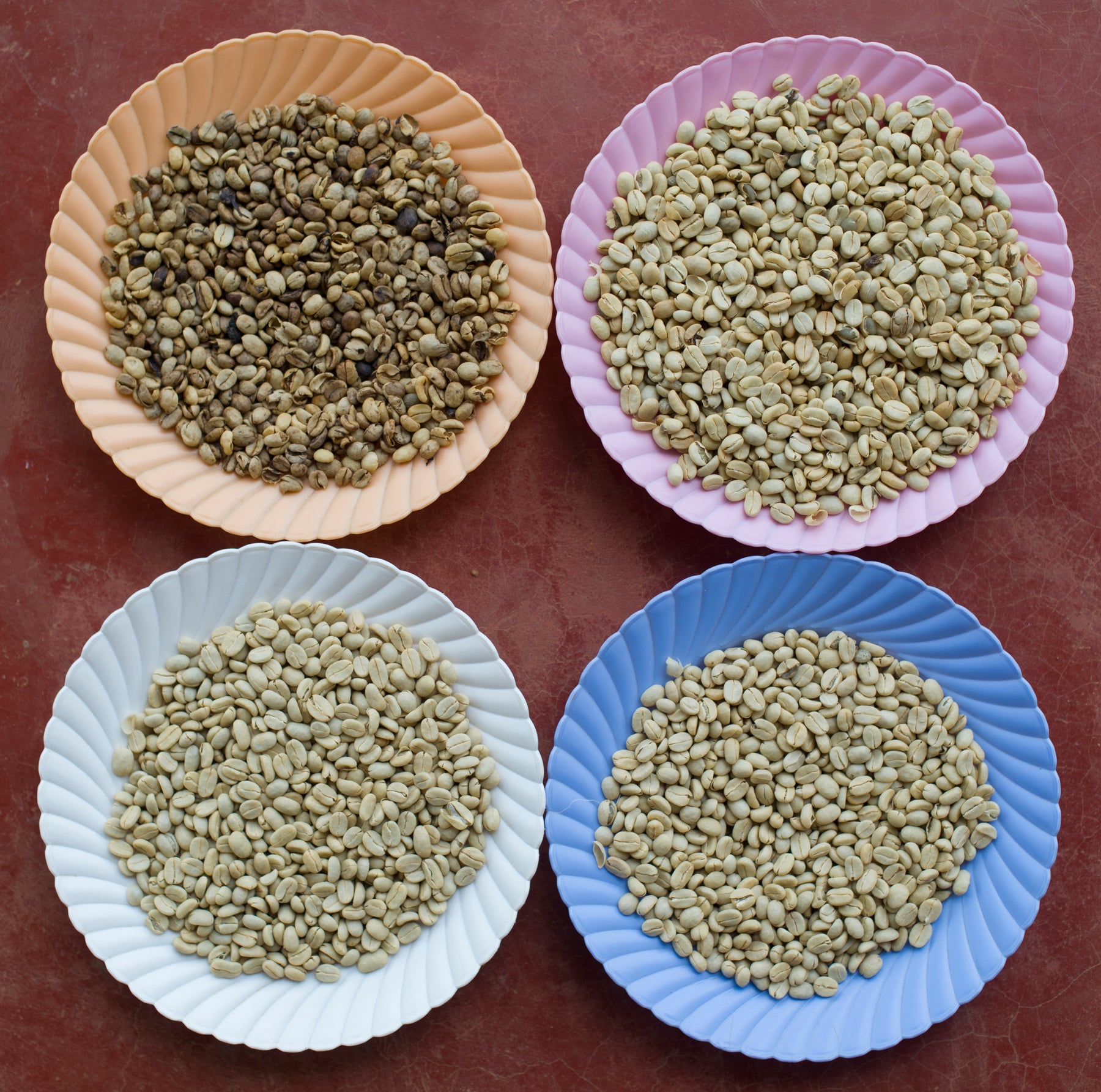 "Grading" What does it mean? Land of a Thousand Hills Coffee