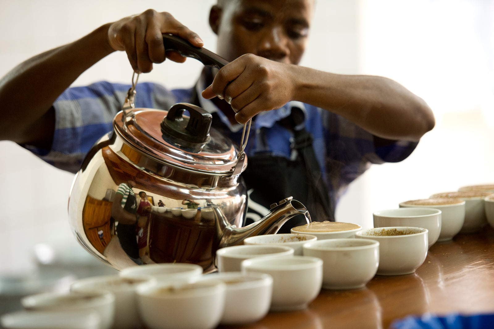 What are Cupping Notes?