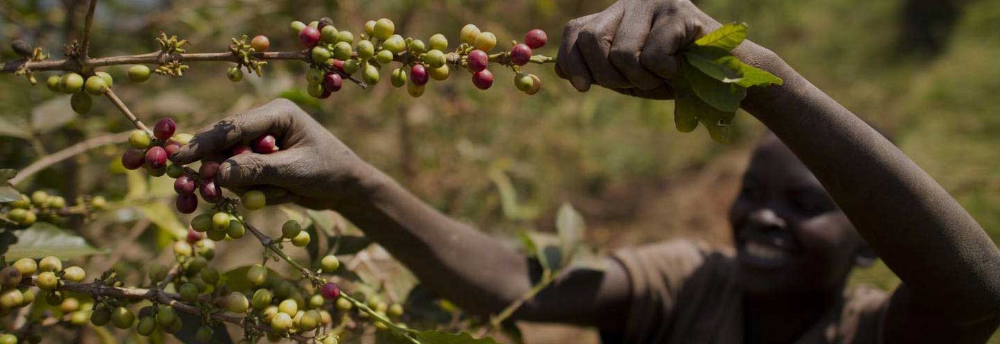 Drink Coffee. Do Good. Repeat.